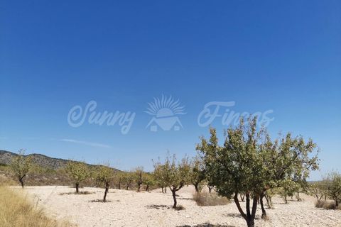Helårsgrund i Raspay, Murcia, Raspay - € 22.900 | Ref: SF0356 - foto 4